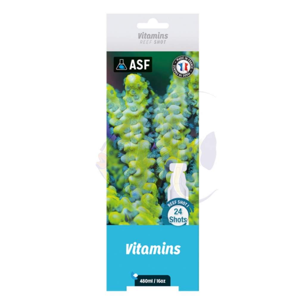 Shots - Vitamins - 24 x 20 ml